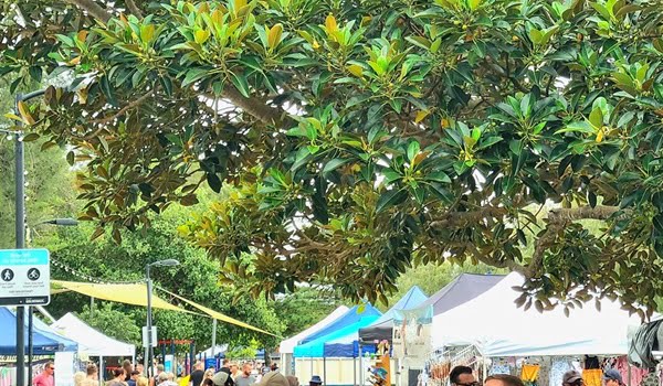 Paradise Point Art and Craft Markets