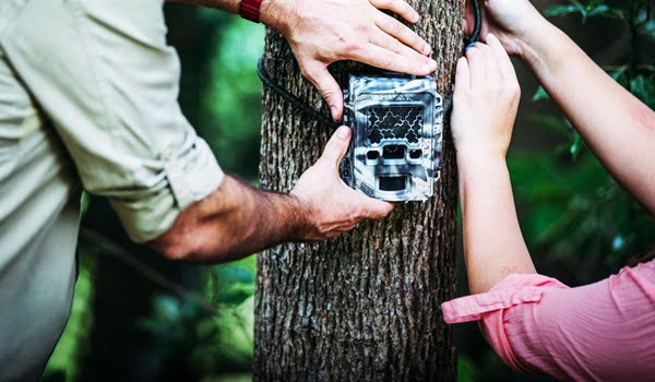 NaturallyGC Wildlife Watch Citizen Science