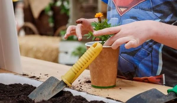 Veggie Patch Program