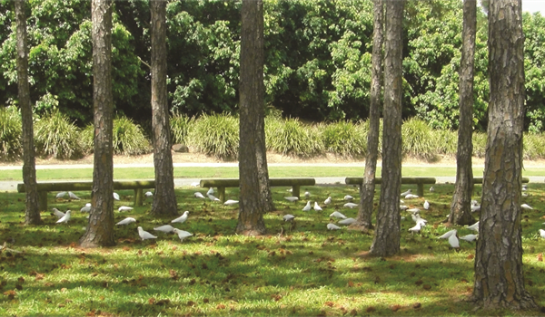 Map Run Parks: Gold Coast