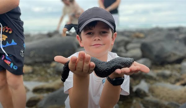 NaturallyGC Kids - Rocky Shore Explore