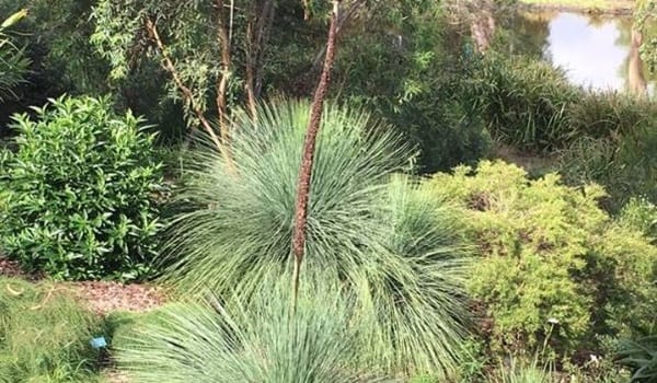 Treasures of the Gardens Guided Walk