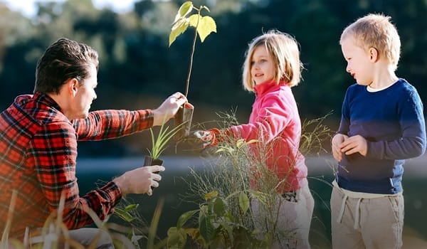 NaturallyGC: Coomera River Catchment Group- Tree Planting