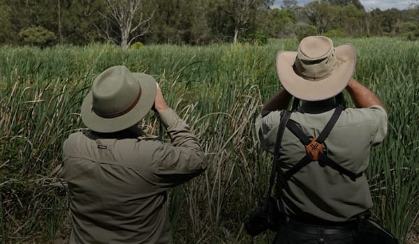 NaturallyGC - Gold Coast Aussie Bird Count Survey