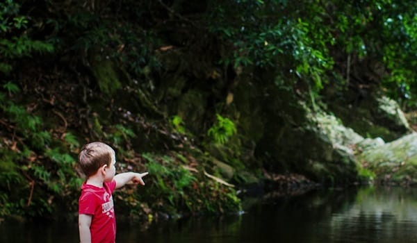 NaturallyGC Kids- Nature Club