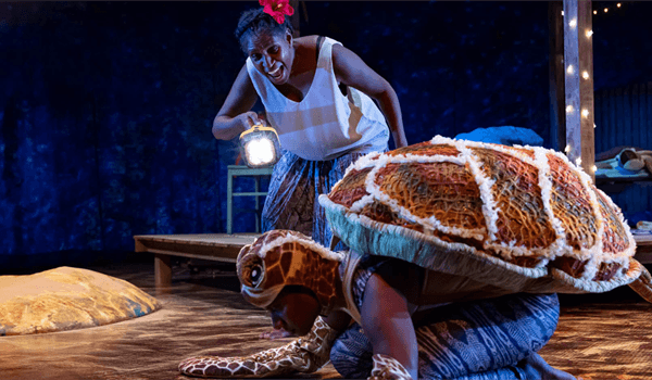 Waru – Journey of the small turtle