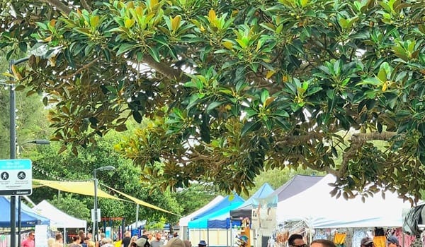 Paradise Point Art and Craft Markets