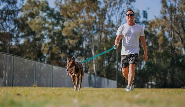 Pet Education and Training Sessions (PETS) - Body Language & Etiquette