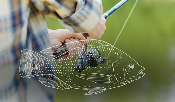 Gold Coast Pest Fishing Classic