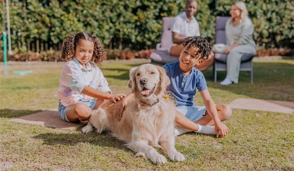 Pet Education and Training Sessions (PETS) - Behaviour