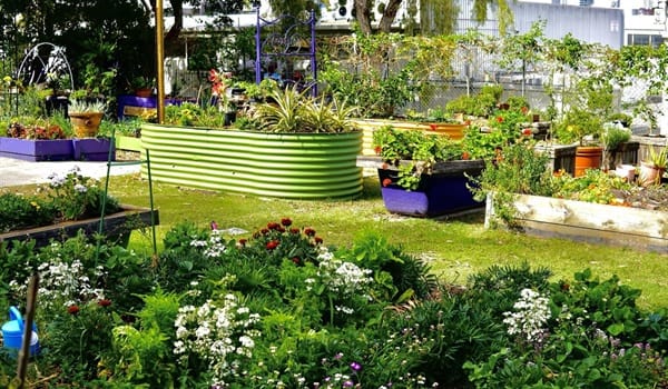 Joan Park Community Garden Annual Spring Fair