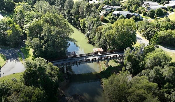 NaturallyGC: Currumbin Creek Care Group- Tree Planting