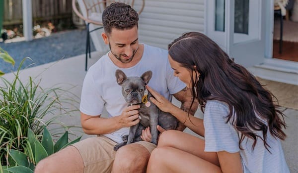 Pet Education and Training Sessions (PETS) - Barking