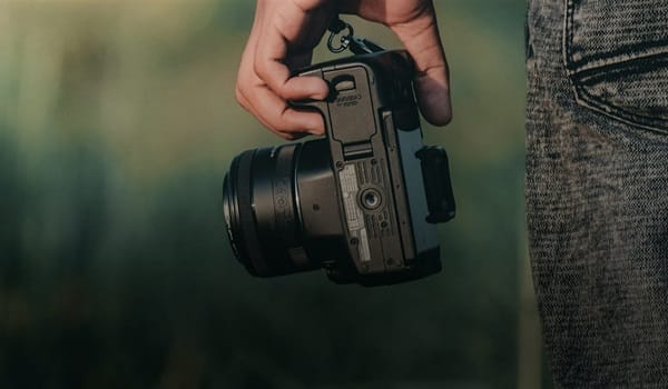 NaturallyGC Birds of the Bush Photography Walk