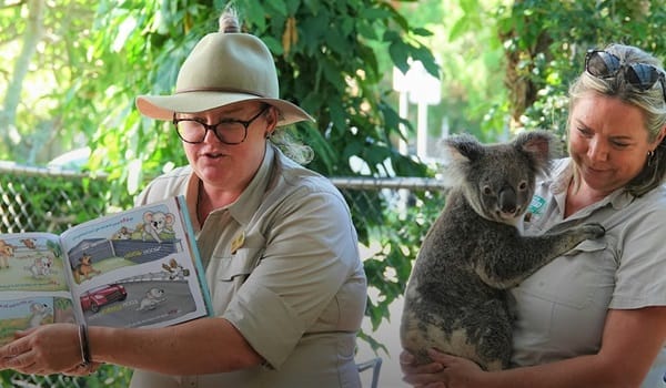 NaturallyGC Koala Kids