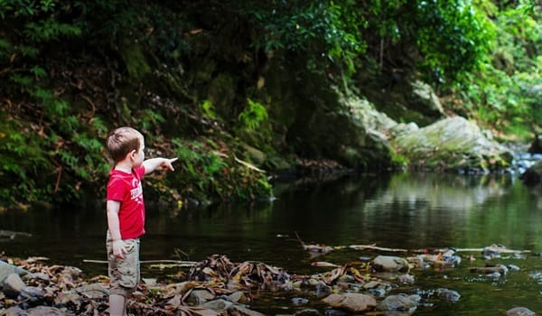 NaturallyGC Kids Creek Connections