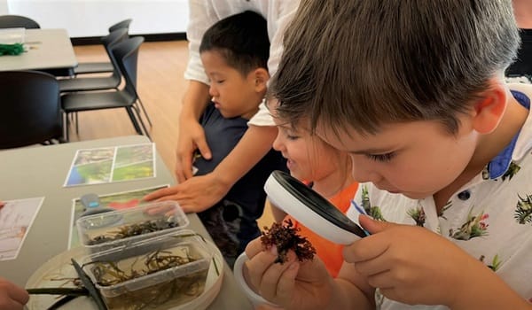 NaturallyGC Kids - Mini Marine Biologists