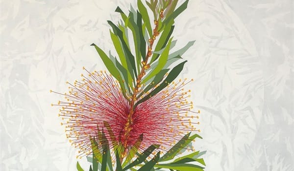 Perceptions of Nature