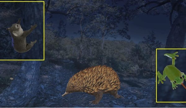 NaturallyGC Kids - Nocturnal Neighbours VR