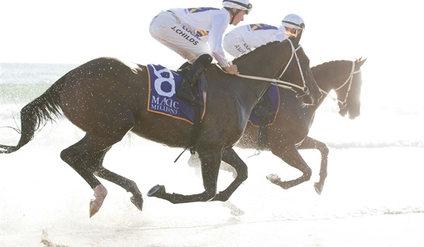 The Star Gold Coast Magic Millions Barrier Draw