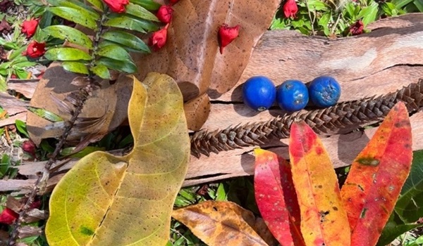 Kids in Conservation: Nature's Treasure Hunt