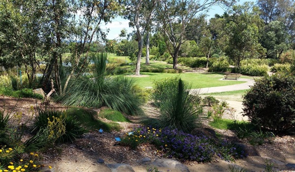 History and Highlights of the Botanic Gardens