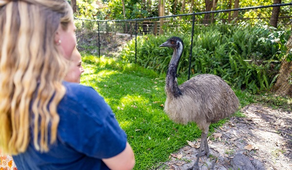 Junior Rangers – Protectors (5 to 7 years)