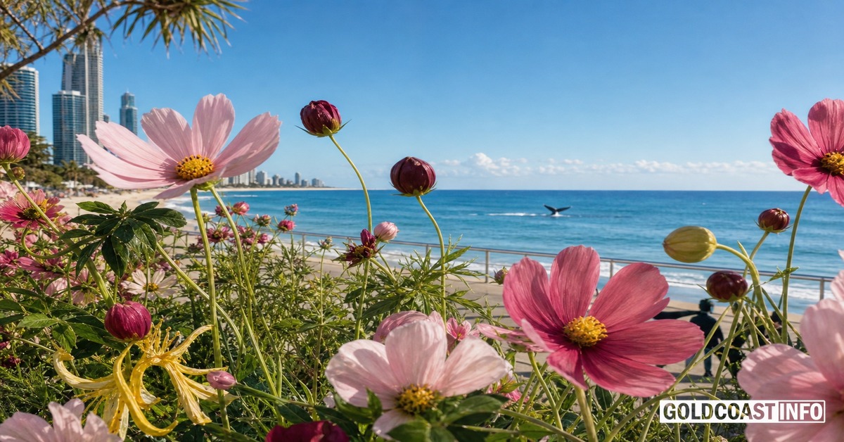 Gold Coast in June 2026